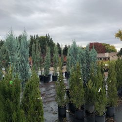 Cloverdale Nursery Turf Farm Nurseries Gardening 2528 N Photo Of Cloverdale Nursery Turf Farm Boise Id United States