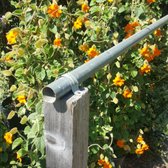 Griggs Nursery 100 Photos 31 Reviews Nurseries Gardening Photo Of Griggs Nursery Carmel Ca United States