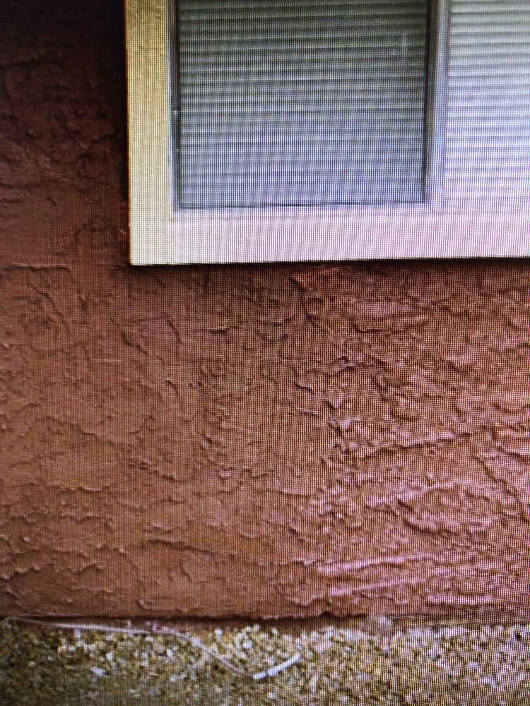 image of business Flood Restoration Specialists