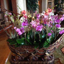 Palm Beach Orchids 11 Photos Landscaping West Fl Photo Of Palm Beach Orchids West Fl United States