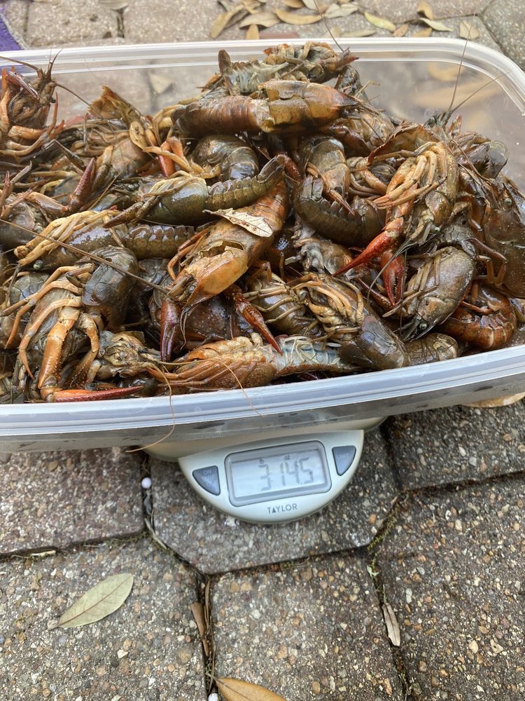 Emery's Seafood