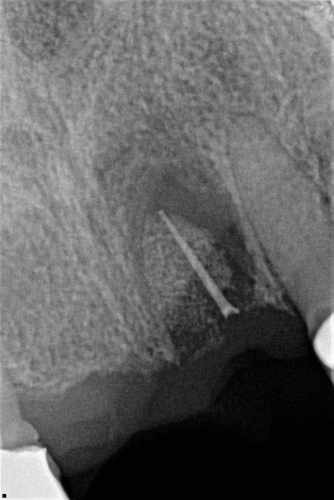 image of business Red Rock Dental
