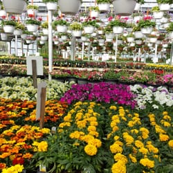 Wells Nursery Greenhouses Nurseries Gardening 3710 W Wells Nursery Greenhouses Nurseries Gardening 3710 W