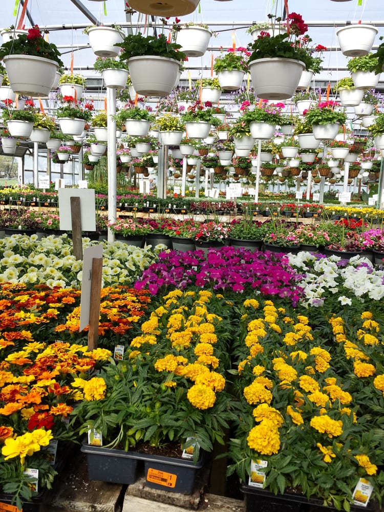 Wells Nursery & Greenhouses Nurseries & Gardening 3710 W US Hwy 40