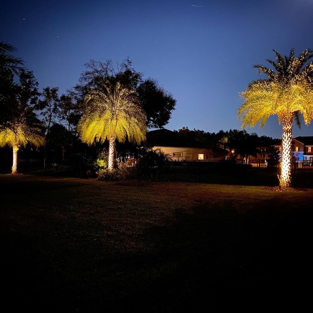 Bernardy Lighting