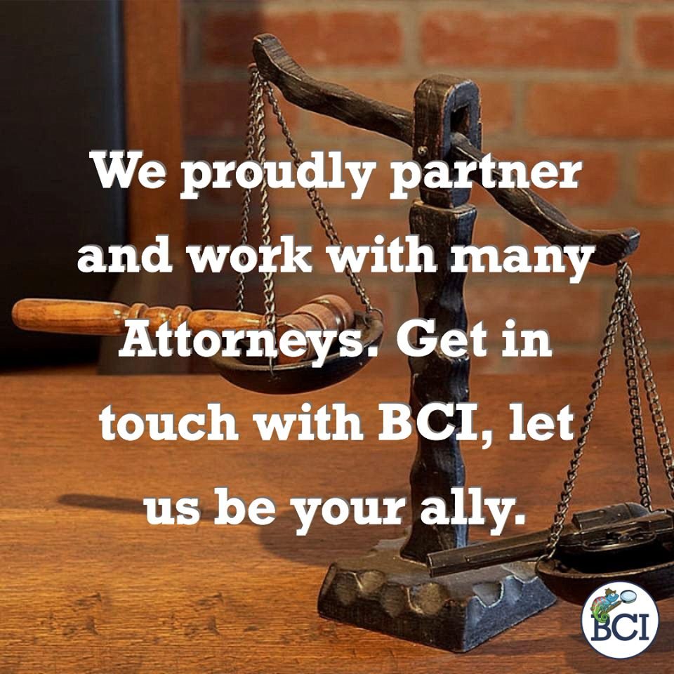 Blue Chameleon Investigations