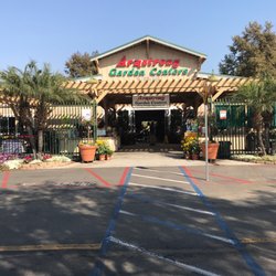 Armstrong Garden Centers 81 Photos 36 Reviews Nurseries Photo Of Armstrong Garden Centers Carlsbad Ca United States