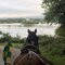 Killarney Horse and Carriage Tours