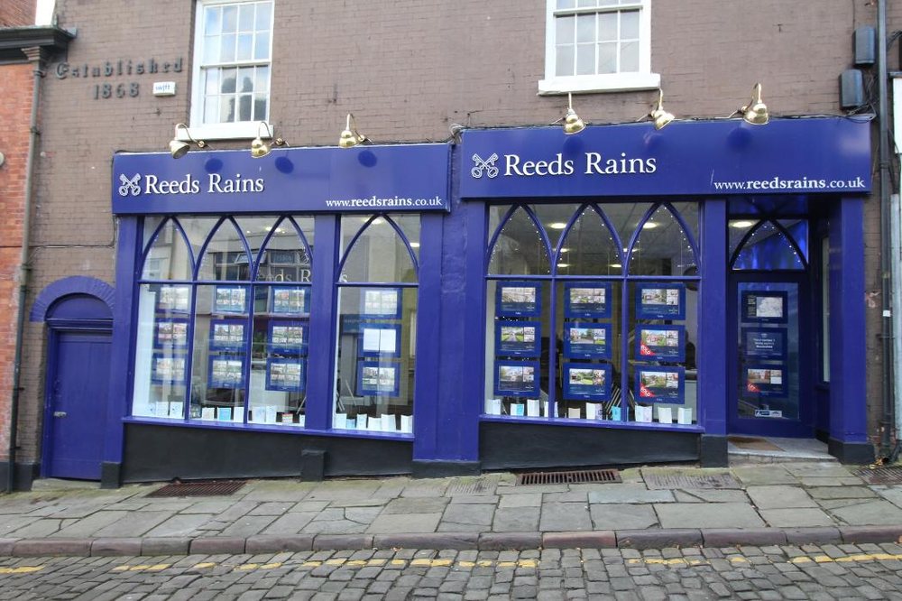Reeds Rains
