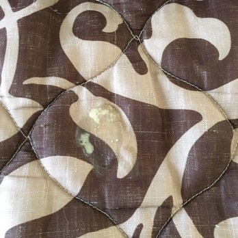 Origin at Seahaven - 107 Photos & 60 Reviews - Resorts ...