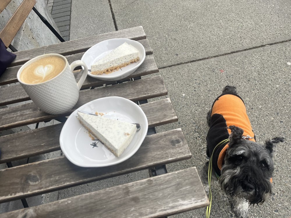 The Only Cafe