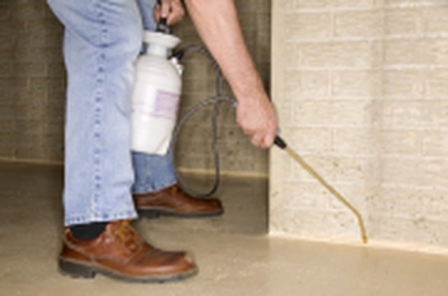 Killeen Pest Control
