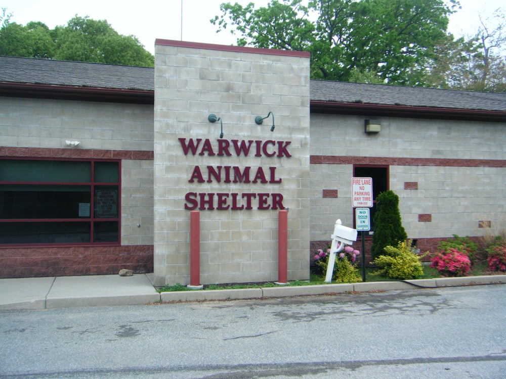Warwick Animal shelter 22 Photos Pet Sitting 101 Arthur W Devine