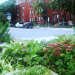 Top Rated Restaurants In Twin Cities Top Rated Restaurants In Twin Cities