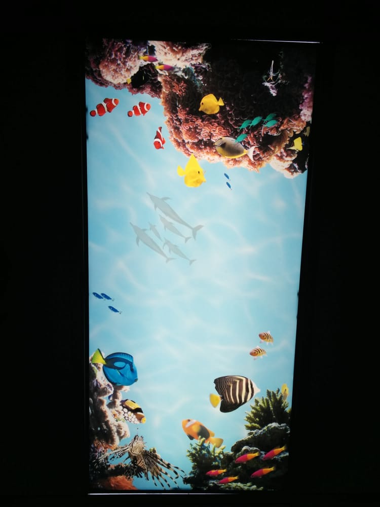 image of business Nancy S. Welch, DDS