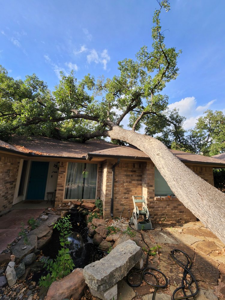 Hernandez Tree Care
