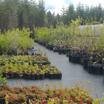 Harvest Nursery 16 Photos 10 Reviews Nurseries Gardening Photo Of Harvest Nursery Molalla Or United States My Favorite