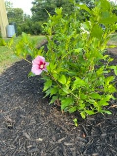 Schultz's Landscaping