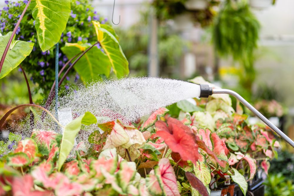 Seasons Nursery