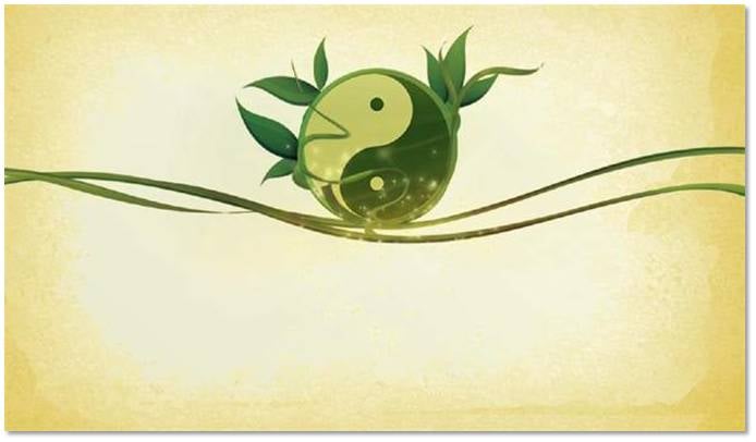 Chapel Hill Acupuncture