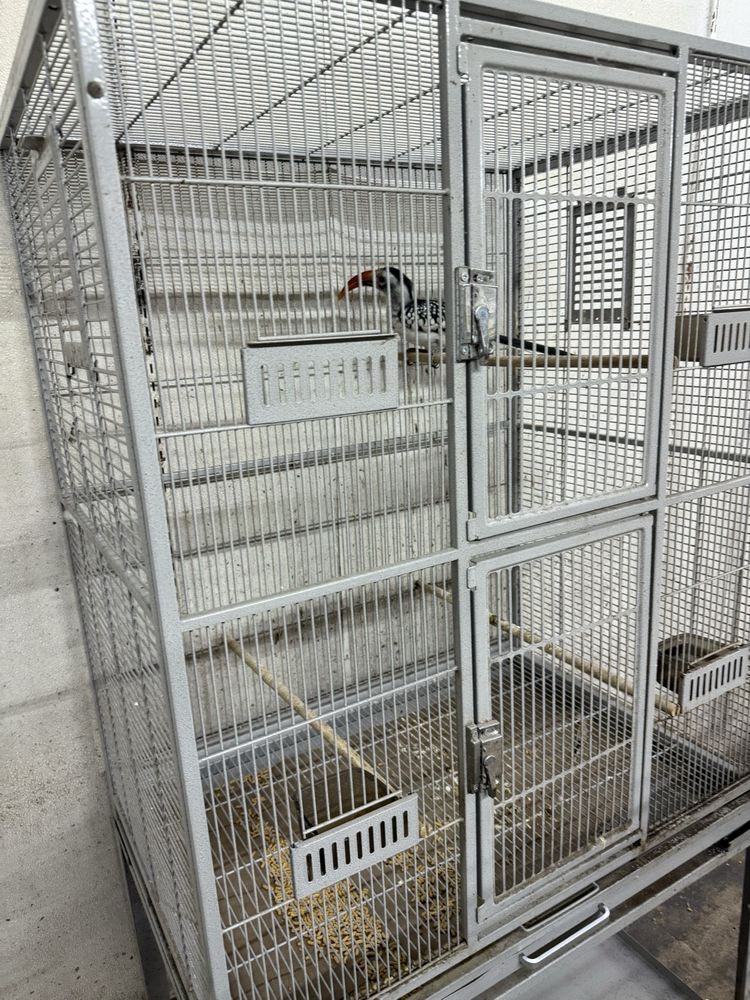 Nick’s Pets Image