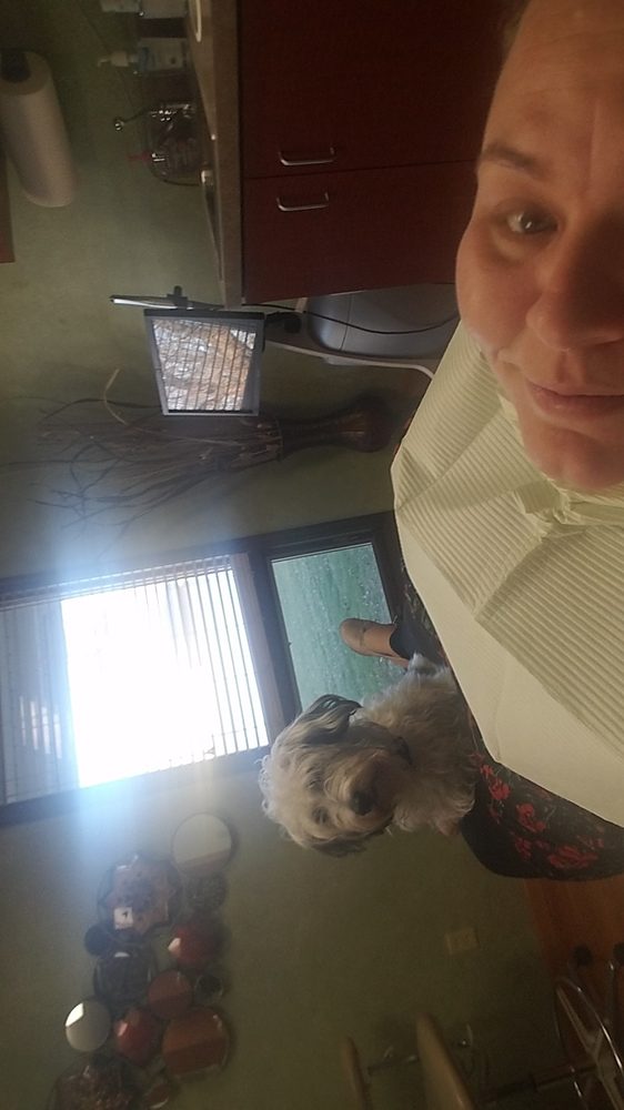 image of business Bollmeier Dental