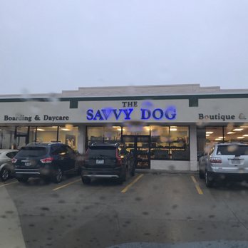 savvy dog archbold ohio savvy dog archbold ohio