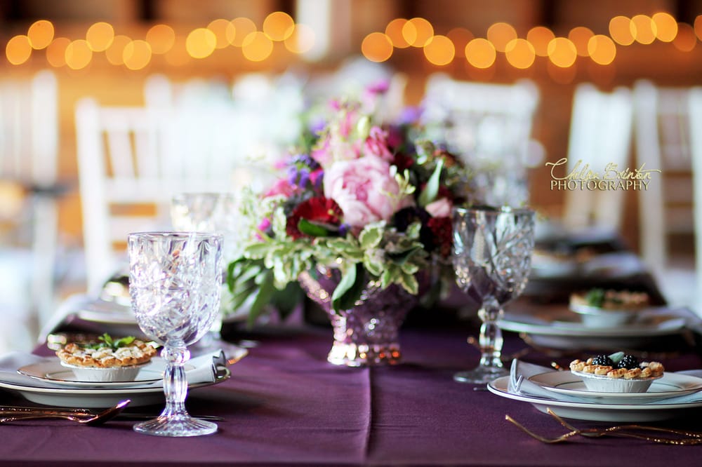Chelsea Brinton Photography