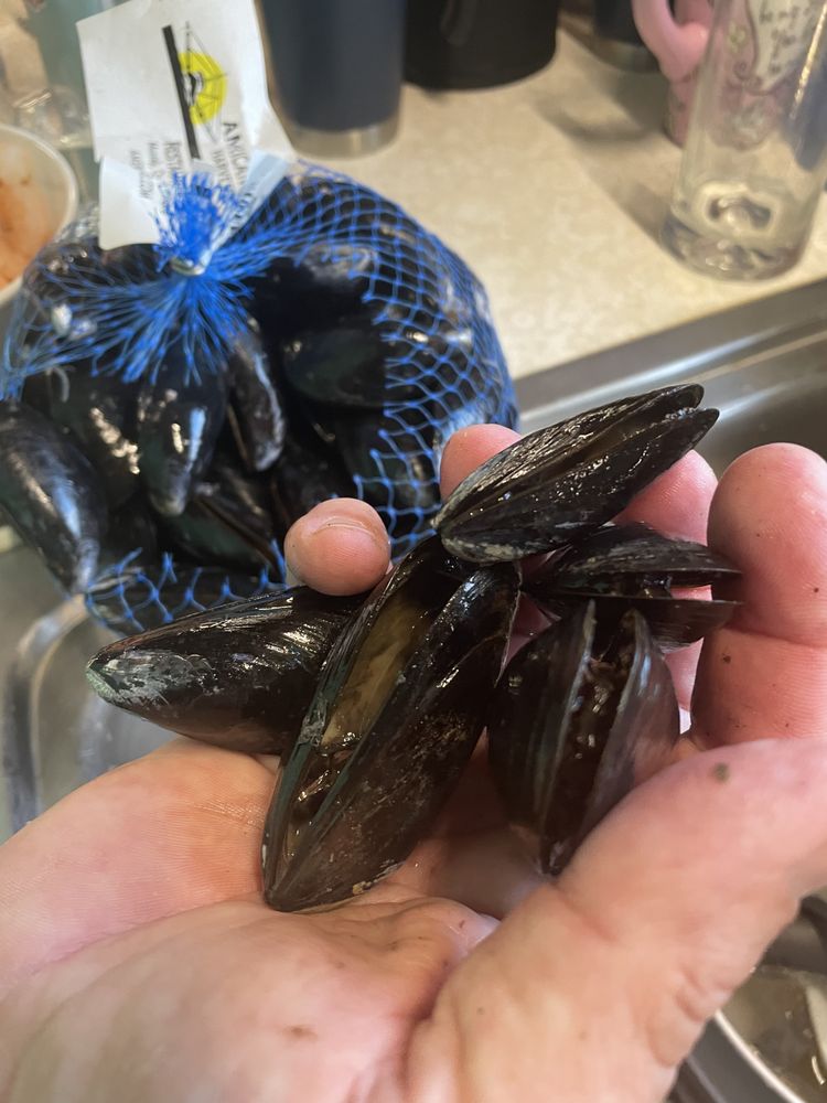 Adelphia Seafood
