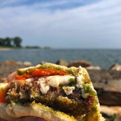 Best Vegan Restaurants In Suffolk County Ny Last Updated December Three S Vegan Creamery