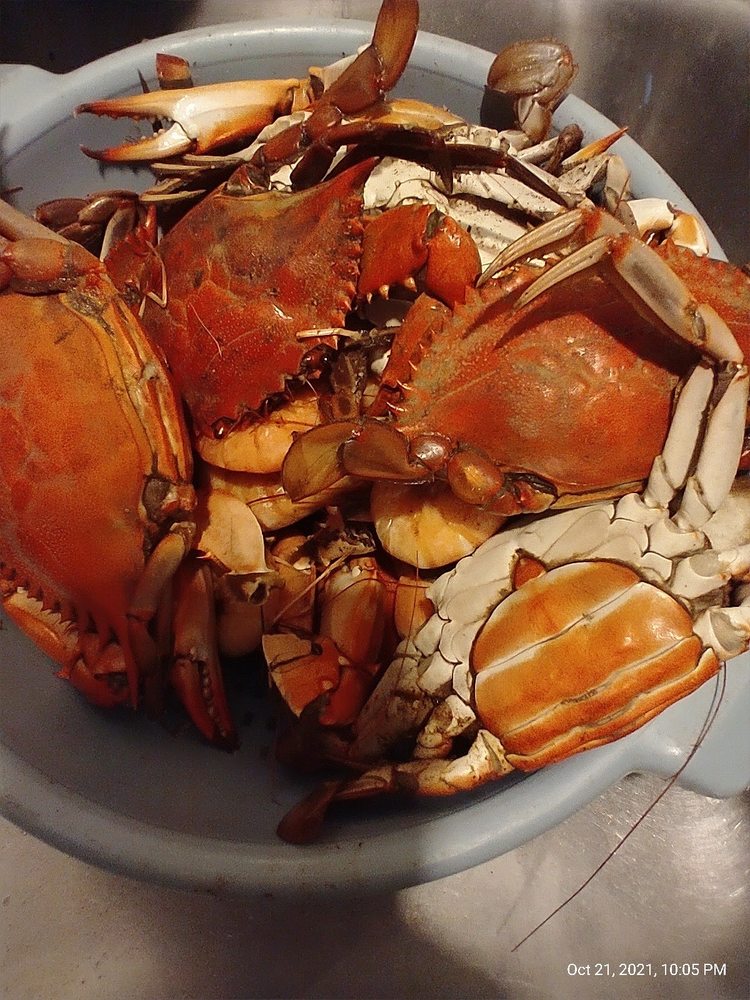 Fresh  Shrimp