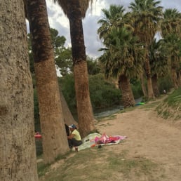 grounds picnic rv palm creek resort