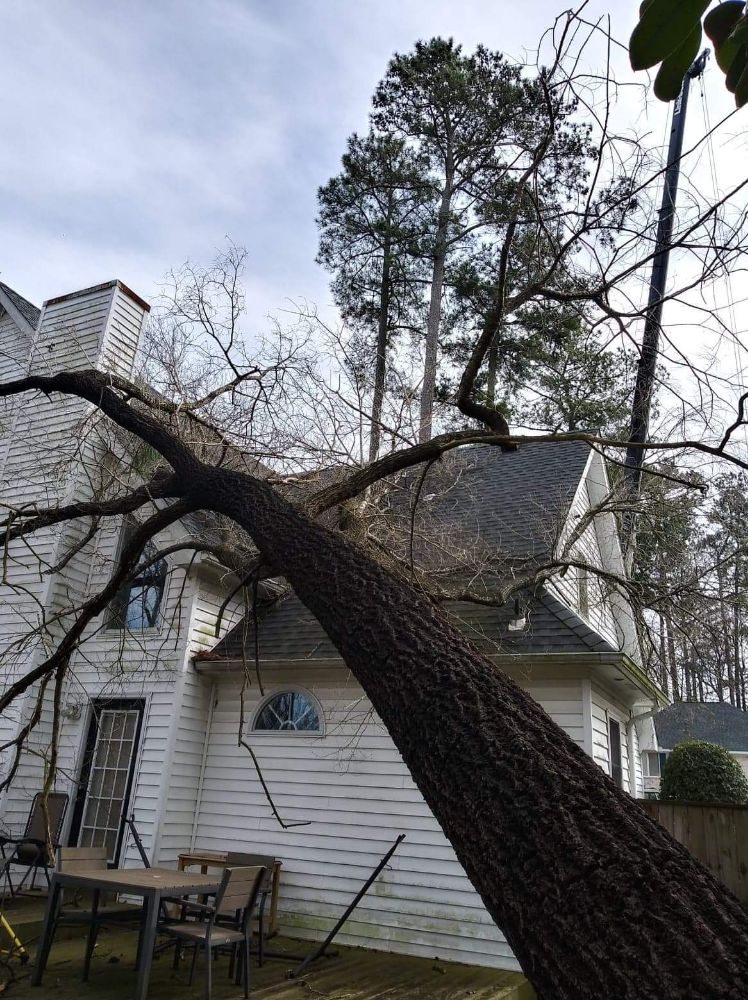 Simpson's Tree Service