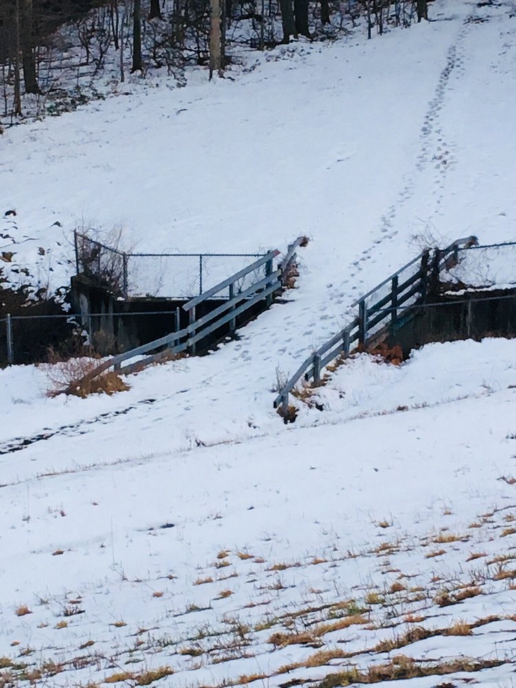 West Rock Ridge State Park 76 Photos & 21 Reviews Parks 1134