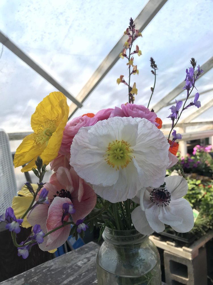 Palmiters Garden Nursery