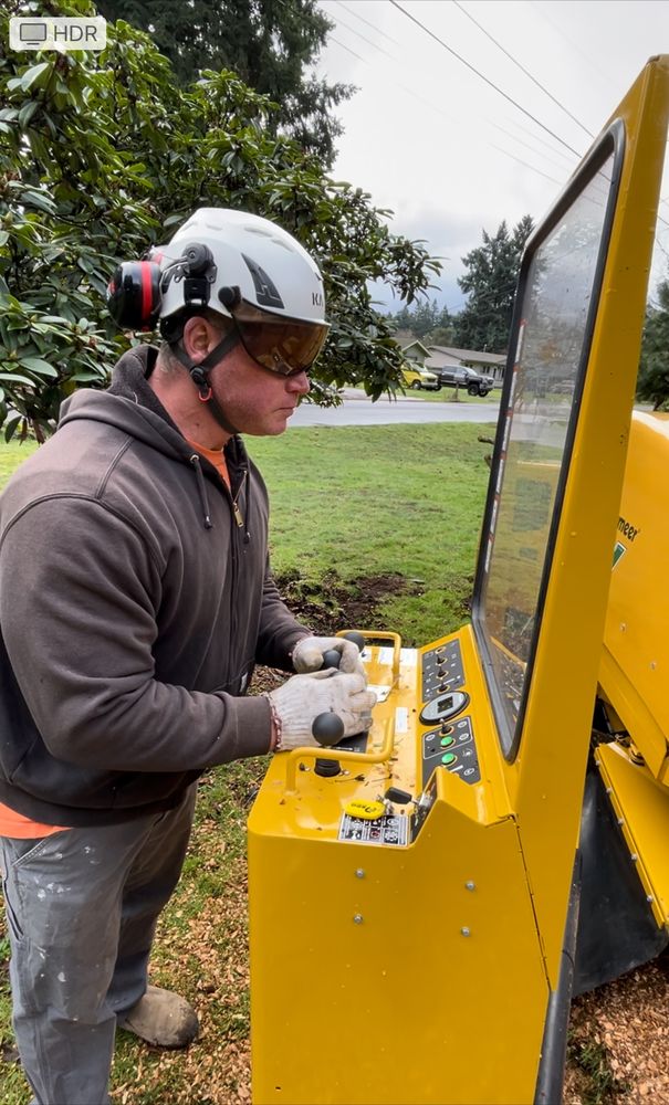 Five Star Stump Grinding