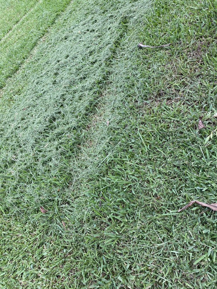 Oviedo Mowing