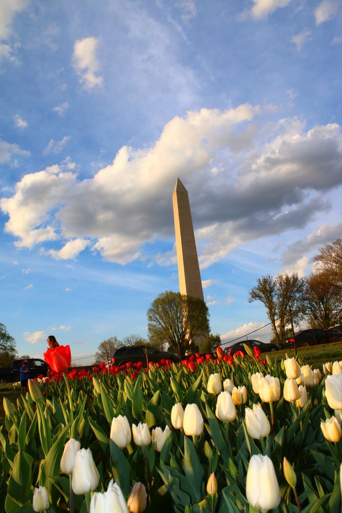 Washington Monument