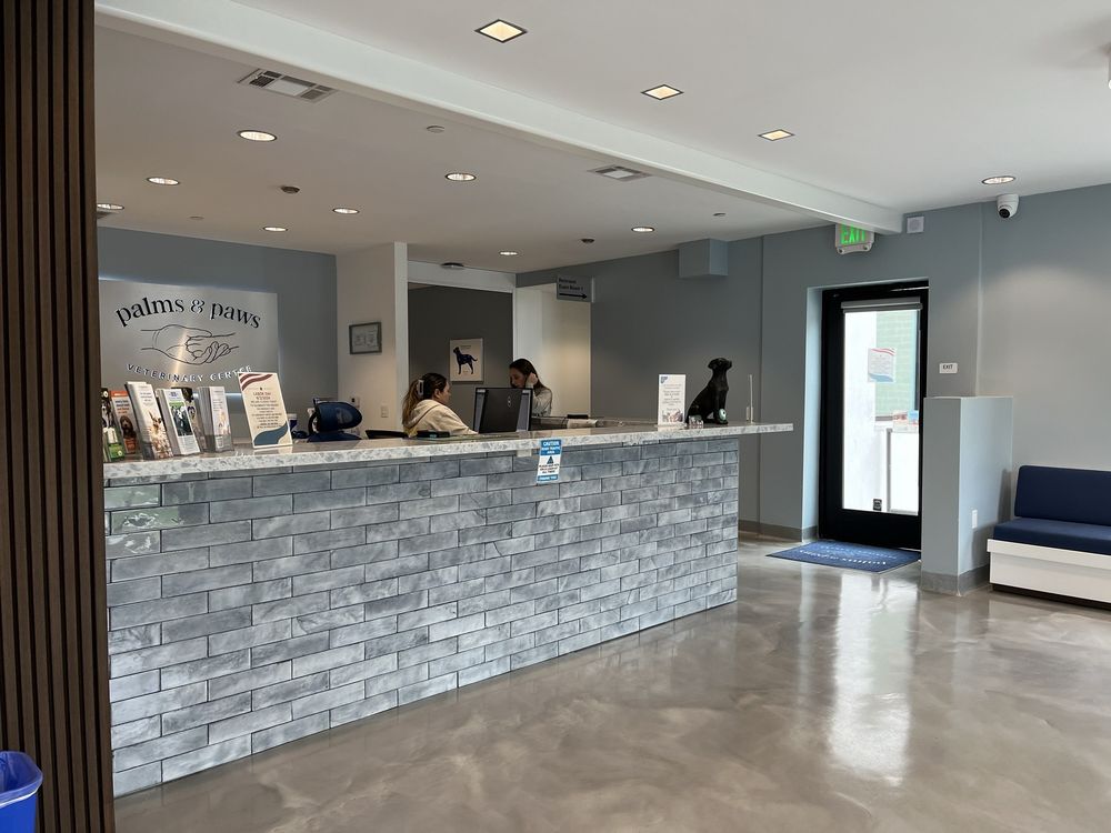 Palms & Paws Veterinary Center