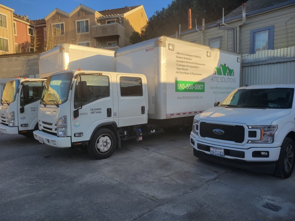 Attic Solutions- Rodent Proofing & Insulation Services