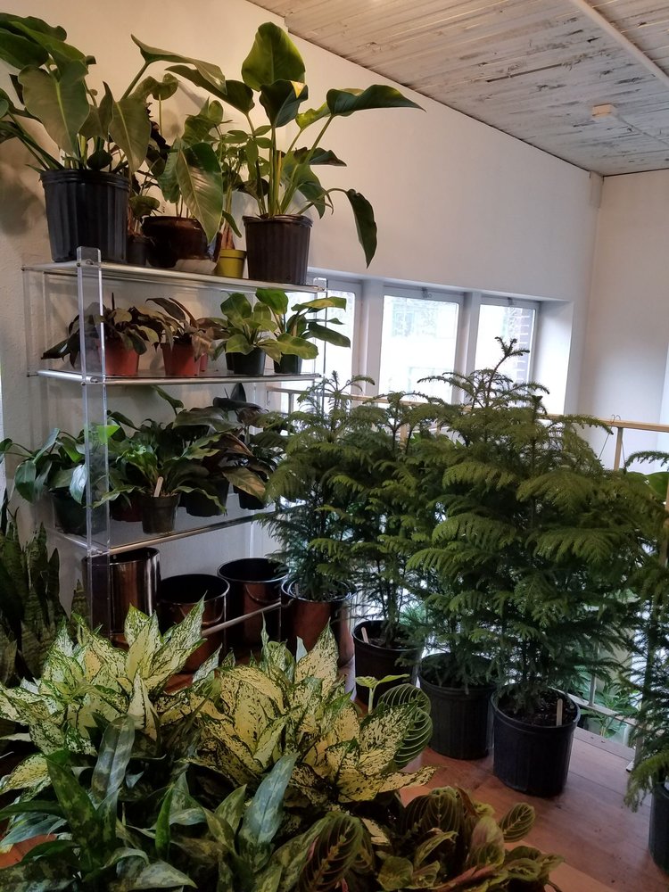 Plant Shop