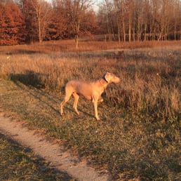 Orion Oaks Dog Park Reviews Orion Oaks Dog Park Reviews