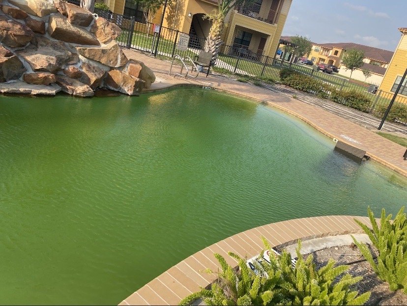 Bella Vista Apartments