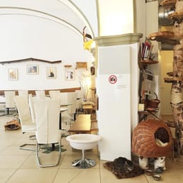 Wo Sind Katzen Cafe In Essen Wo Sind Katzen Cafe In Essen