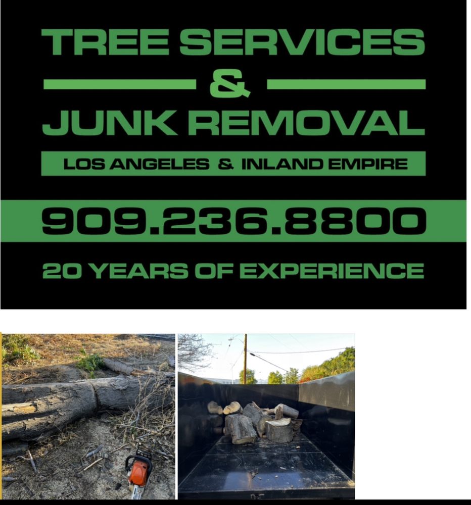 Junk Removal Asap