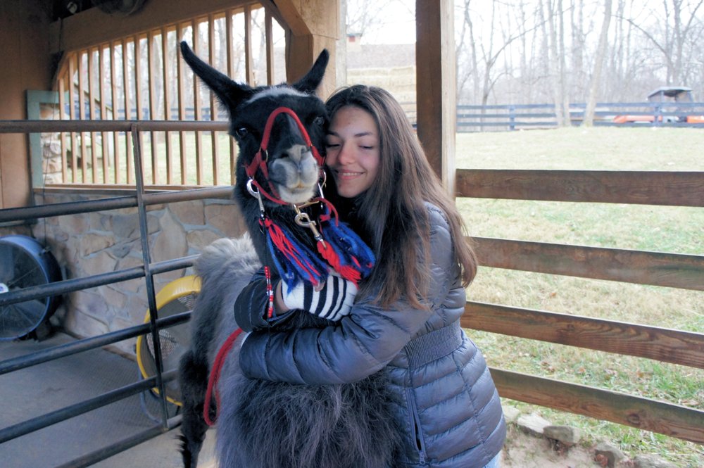 Twin Creeks Llamas