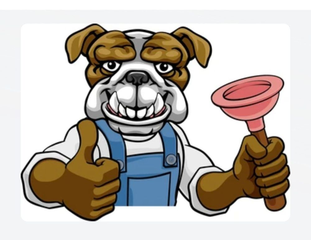 Bigdawg Drain Cleaning and Repair