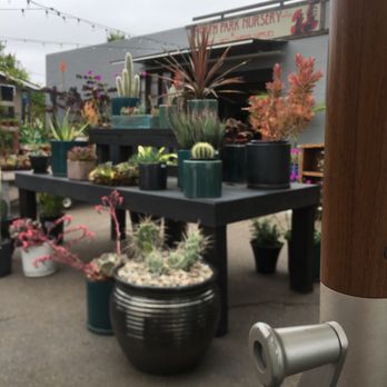 North Park Nursery 147 Photos 101 Reviews Nurseries Photo Of North Park Nursery San Go Ca United States Selection