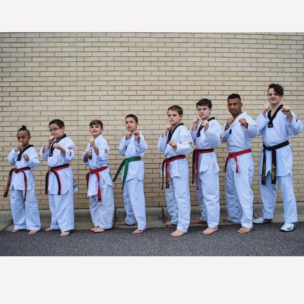 Partners Taekwondo Wilson