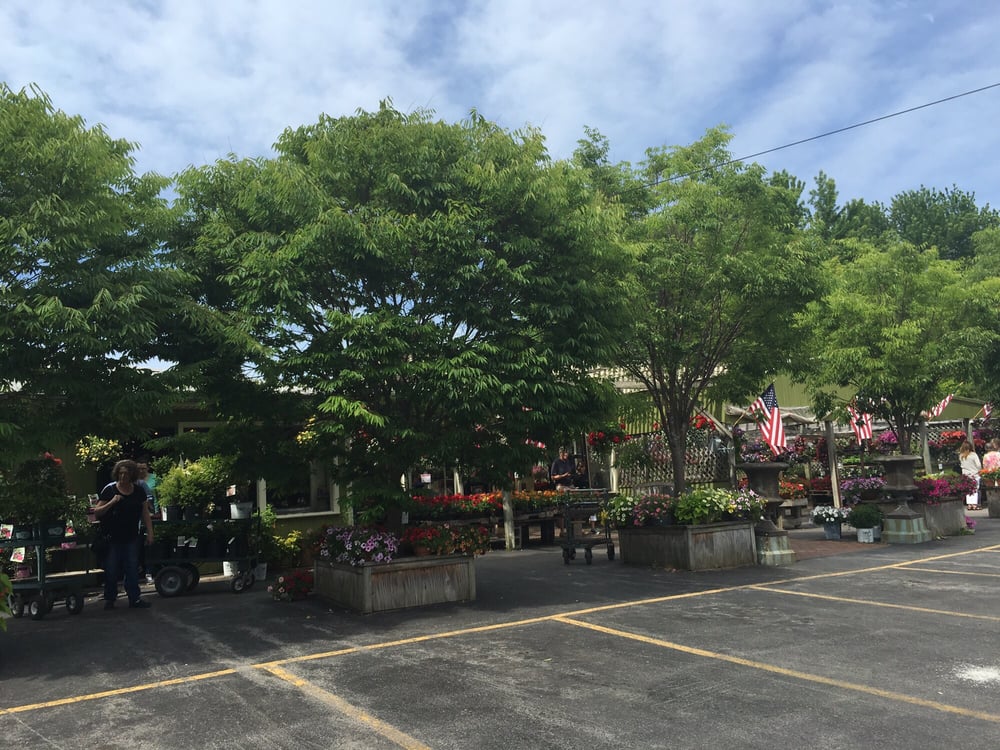 Sara’s Garden Center Nurseries & Gardening 389 East Ave, Brockport